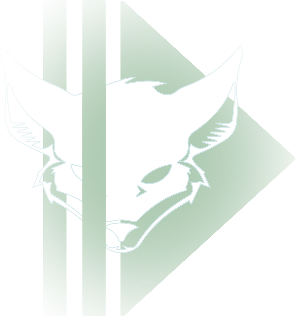 DigitalFox, site internet sur-mesure à Pau, webmaster Pau