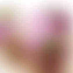 Recette de pot-au-feu par Marché Frais Orgeval