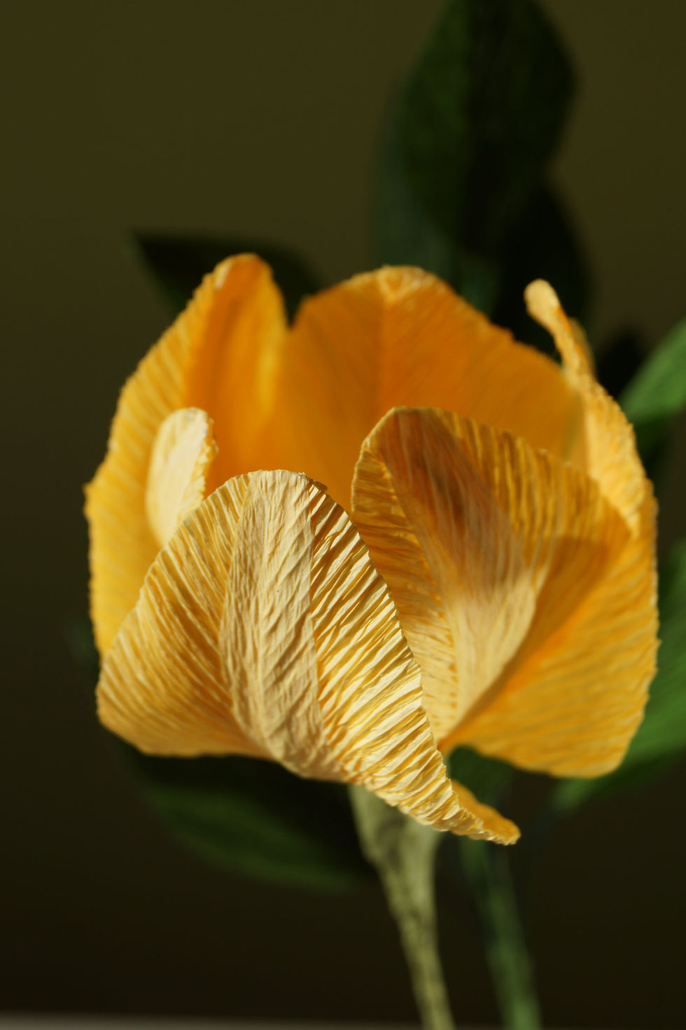 Miniature : Tulipe en papier, fleurs en papier crépon