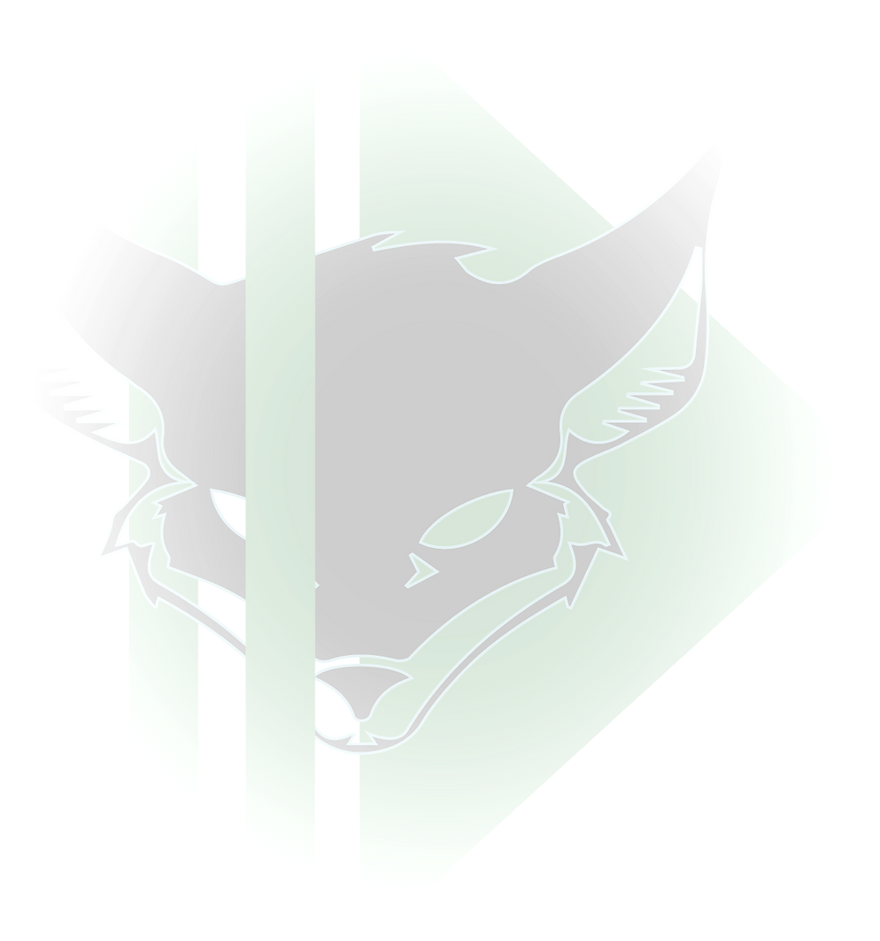 DigitalFox_vertfonce_noir_web_sansfond_e