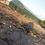 Thumbnail: Green Growing Greenhouse 800x300x200 Outsunny
