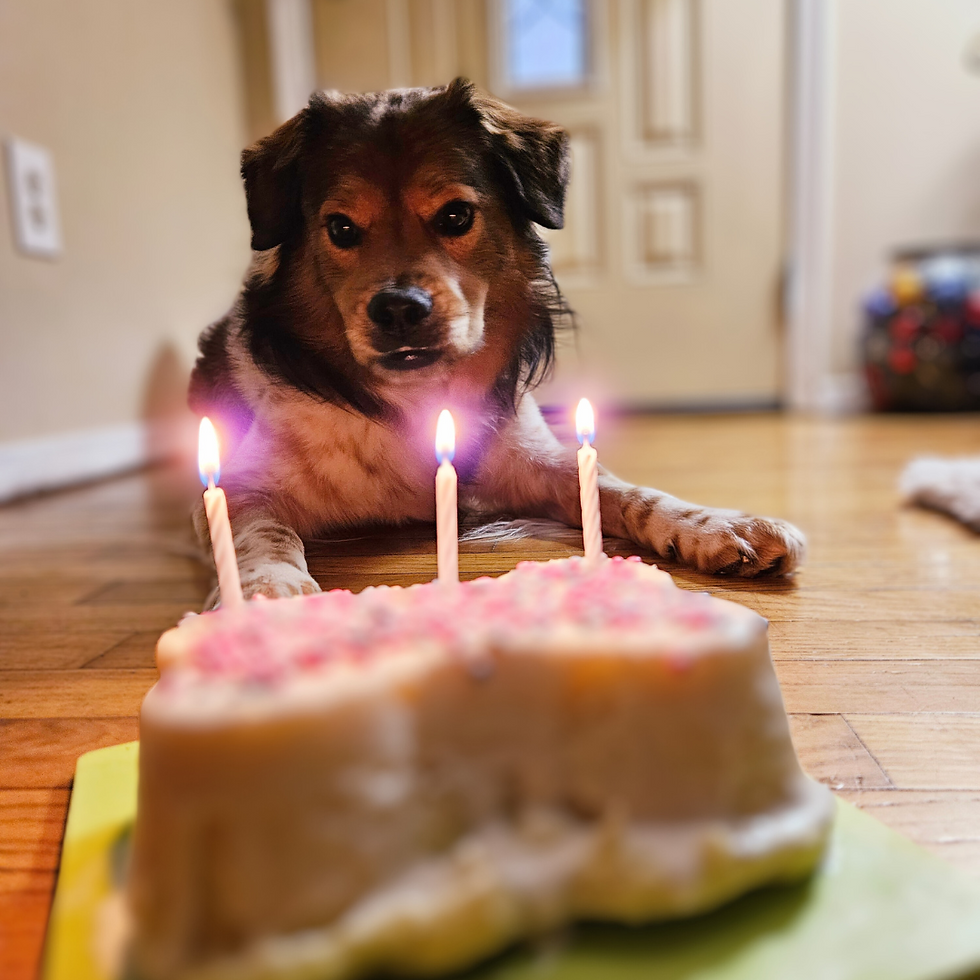Impulse Control: What it is and why it matters