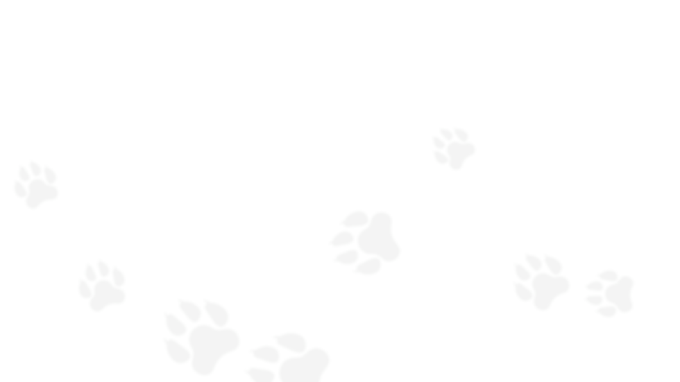 animal tracks background (3).png