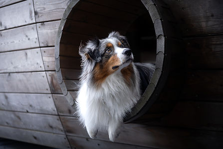 0C3A2087-Verbessert-RR Kopie.jpg