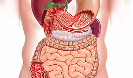 Gastroenterology.jpg
