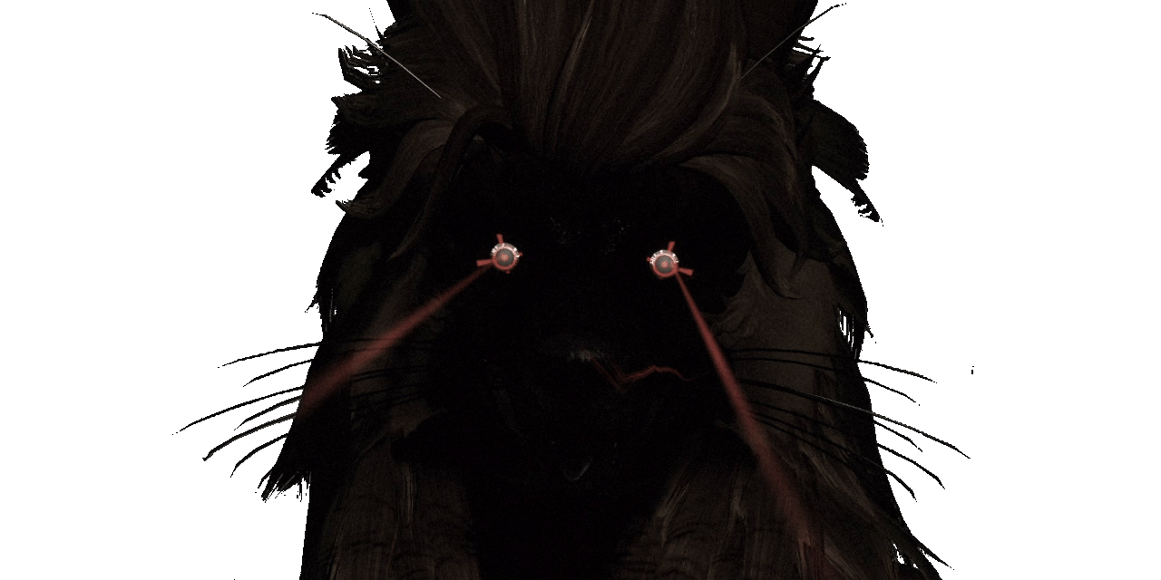 Snap.gif