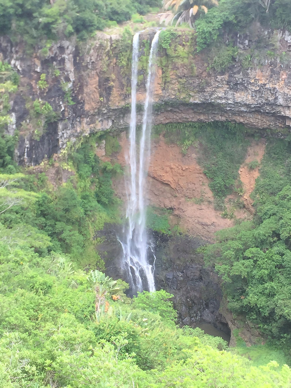 Thumbnail: The Black River National Park trip