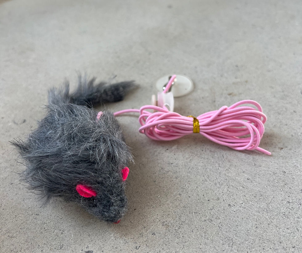 Thumbnail: Barn Cat Toys 