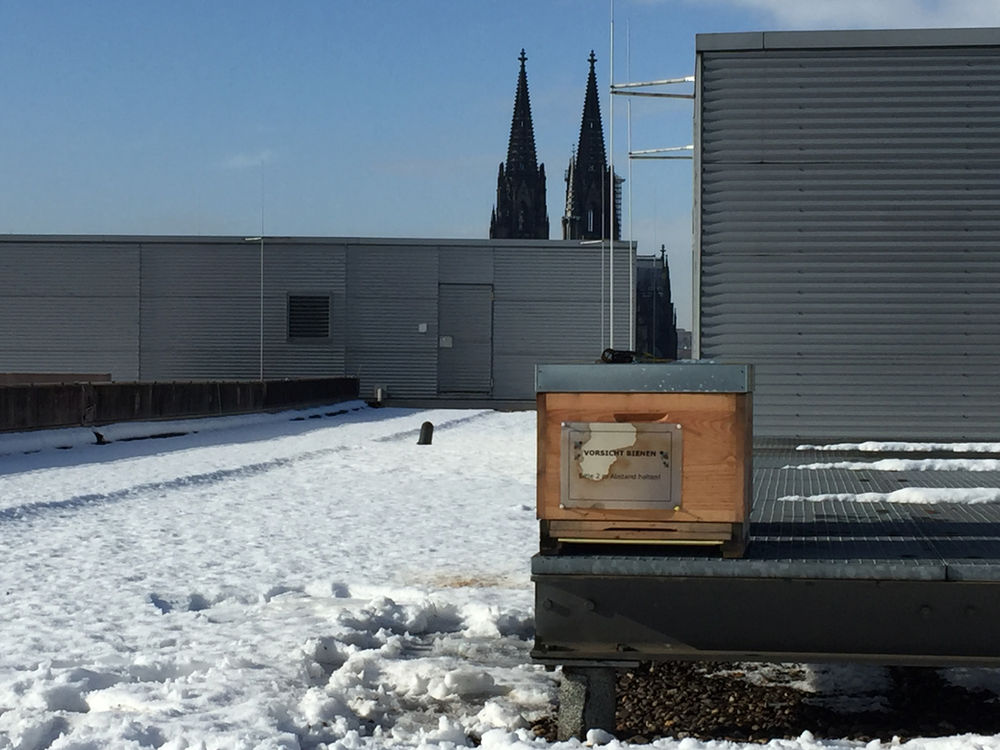 horion haus des lvr koln alles gut