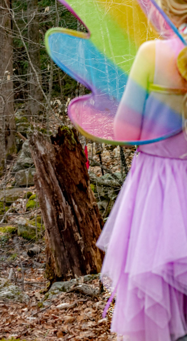 Fairy Festival 2025 | The Dewey School Fairy Festival 2025 | The Dewey School