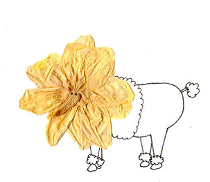 Caniche royal.jpg