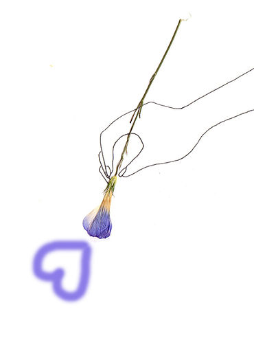 Pinceau3.jpg