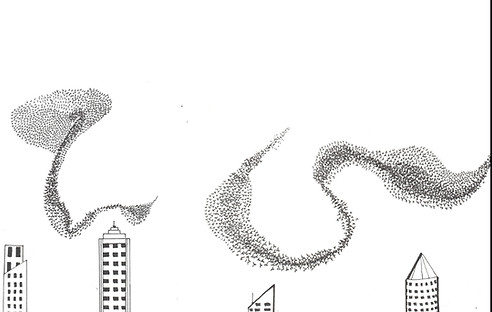 murmurations3.jpg