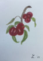 Watercolour still life original painting of cherries.