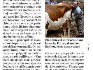 Apparition dans le Progrès 