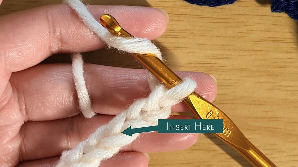 Insert guide