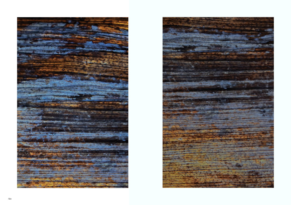 Thumbnail: PLANTS. FLOWERS