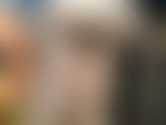 シーズーのモコナくん