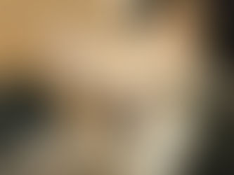 チワワのルナちゃん