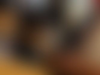 チワワの小太郎くん