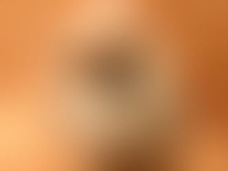 ポメラニアンのシフォンちゃん