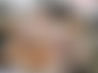 チワワ７頭。。。