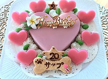 IMG202205031627521.jpg