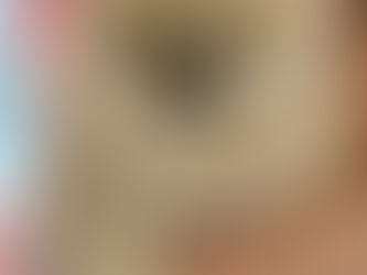 ポメラニアンのくうちゃん