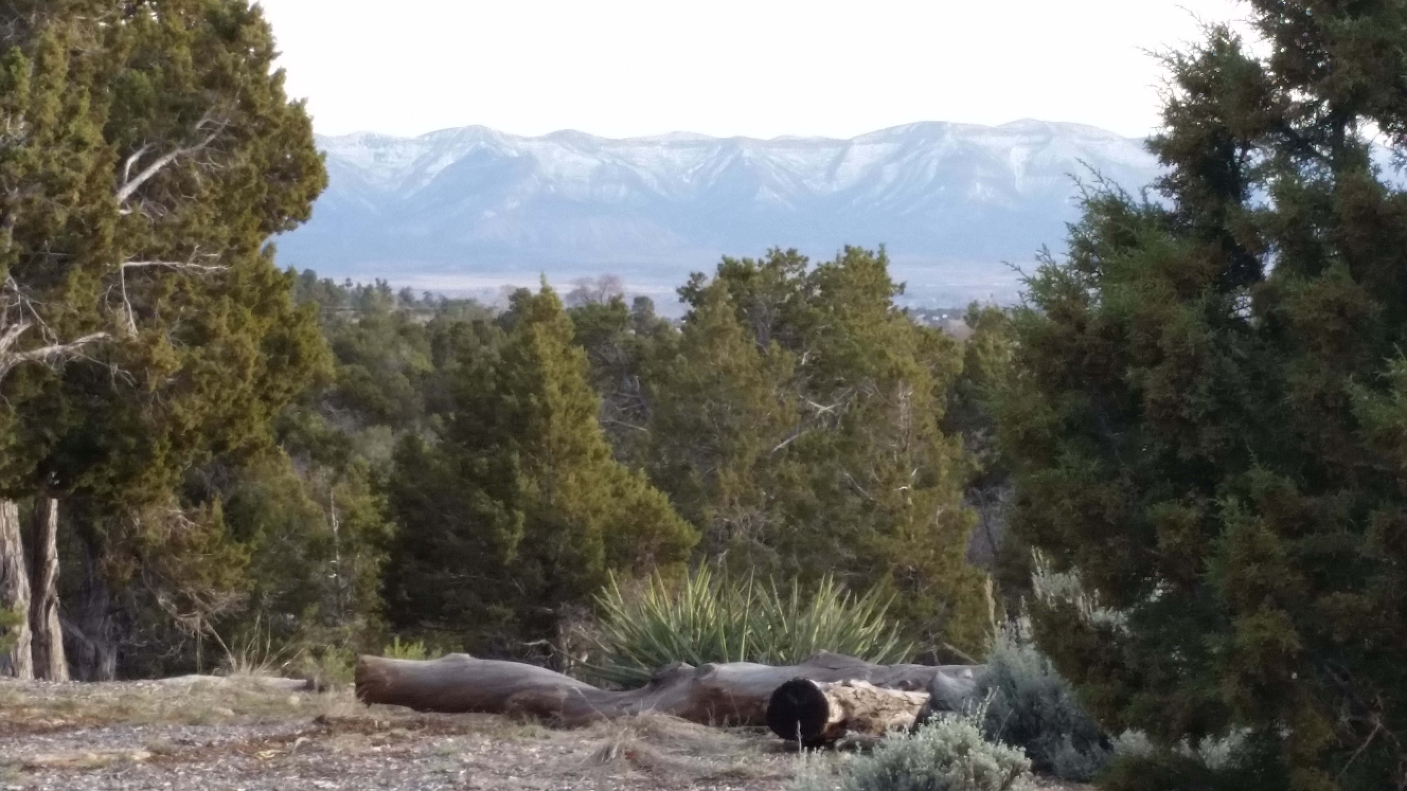 Circle C RV Park & Campground - Photo 2