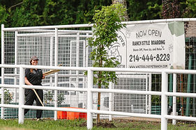 Pet Resort-5.jpg