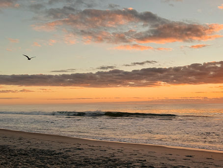 The Cape Fear Coast - Home of 910 Apparel