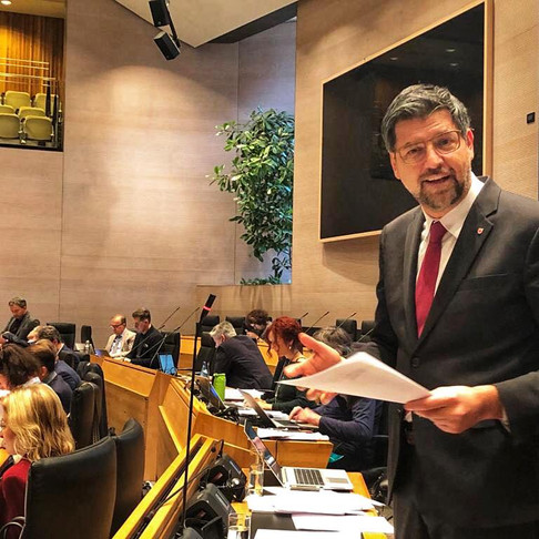 Meine Haushaltsrede 2020