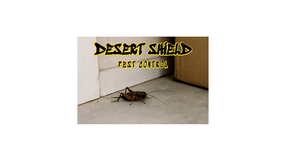 Why Crickets Are More Than Just a Nuisance in Tucson, AZ
