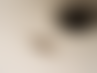 Silverfish & Earwigs in Tucson Homes: What You Need to Know