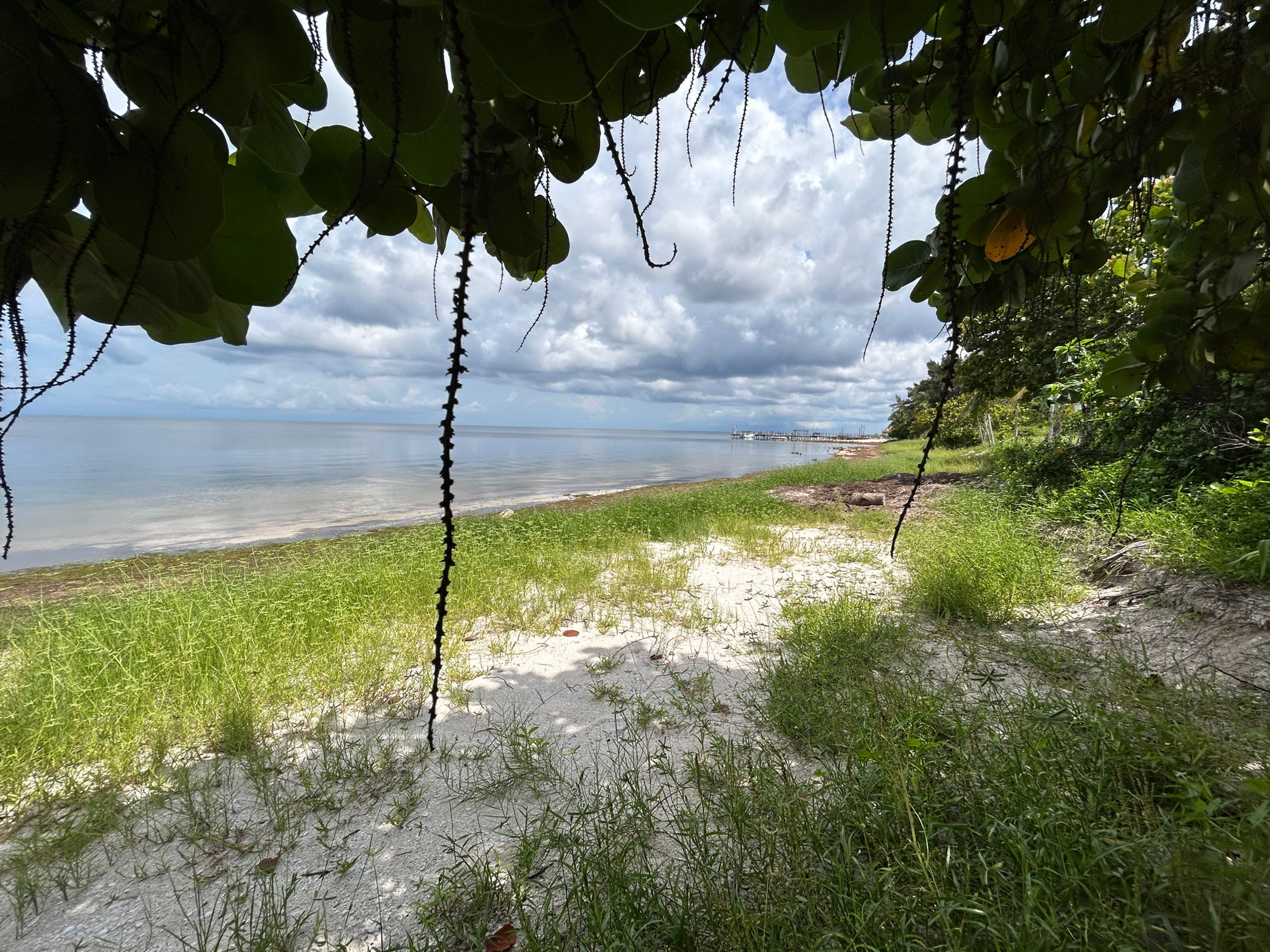 Venta de 2 Terrenos a orilla de Playa Dzilam