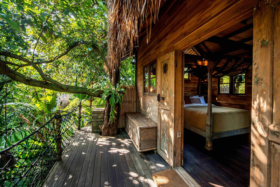 Tree House entrance.jpeg