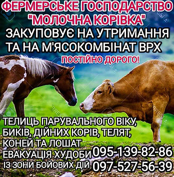 изображение_viber_2025-06-25_14-48-59-376.jpg