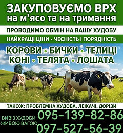 изображение_viber_2025-06-25_14-48-58-825.jpg