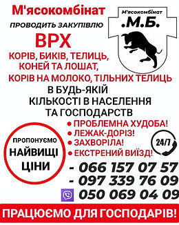 мясокомбинат ВРХ-1.jpg