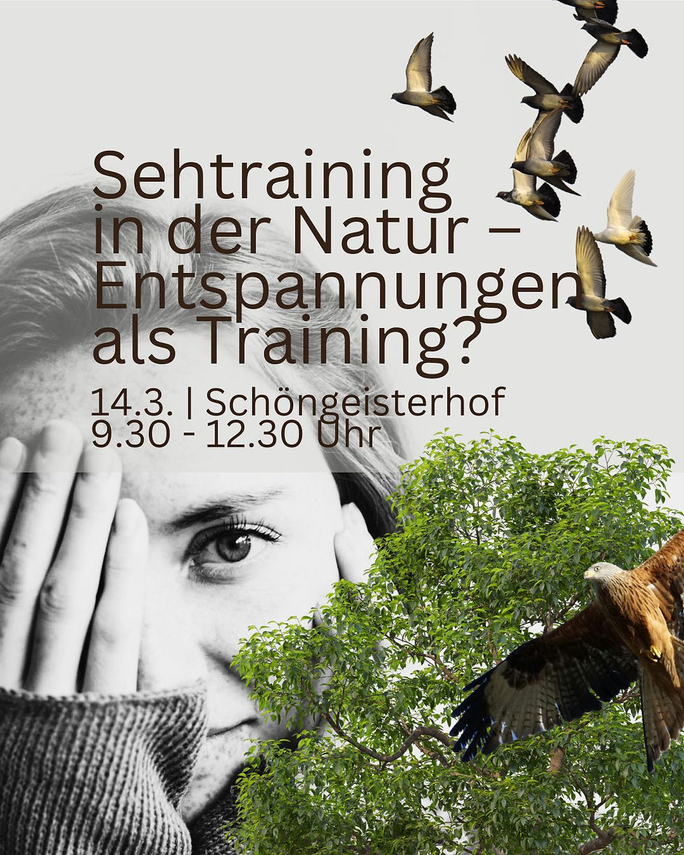 Sehtraining in der Natur – Entspannungen als Training?