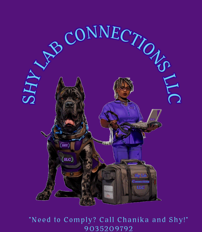 SHY LAB CONNECTIONS LLC LOGO