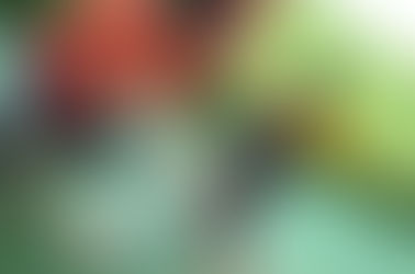 Can You Start Your Child Too Young at Golf?