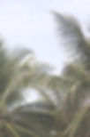 _MG_1888_edited_edited.jpg