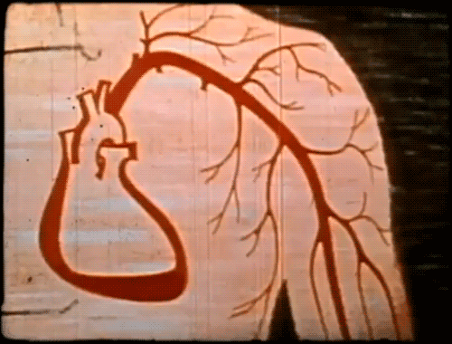science heart pumping