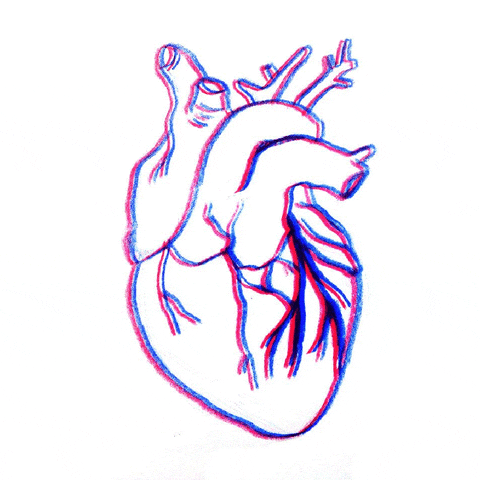heart.gif