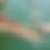 Thumbnail: Lake Eze 5-Step Ladder
