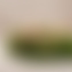 PŘEDVÁNOČNÍ JARMARK