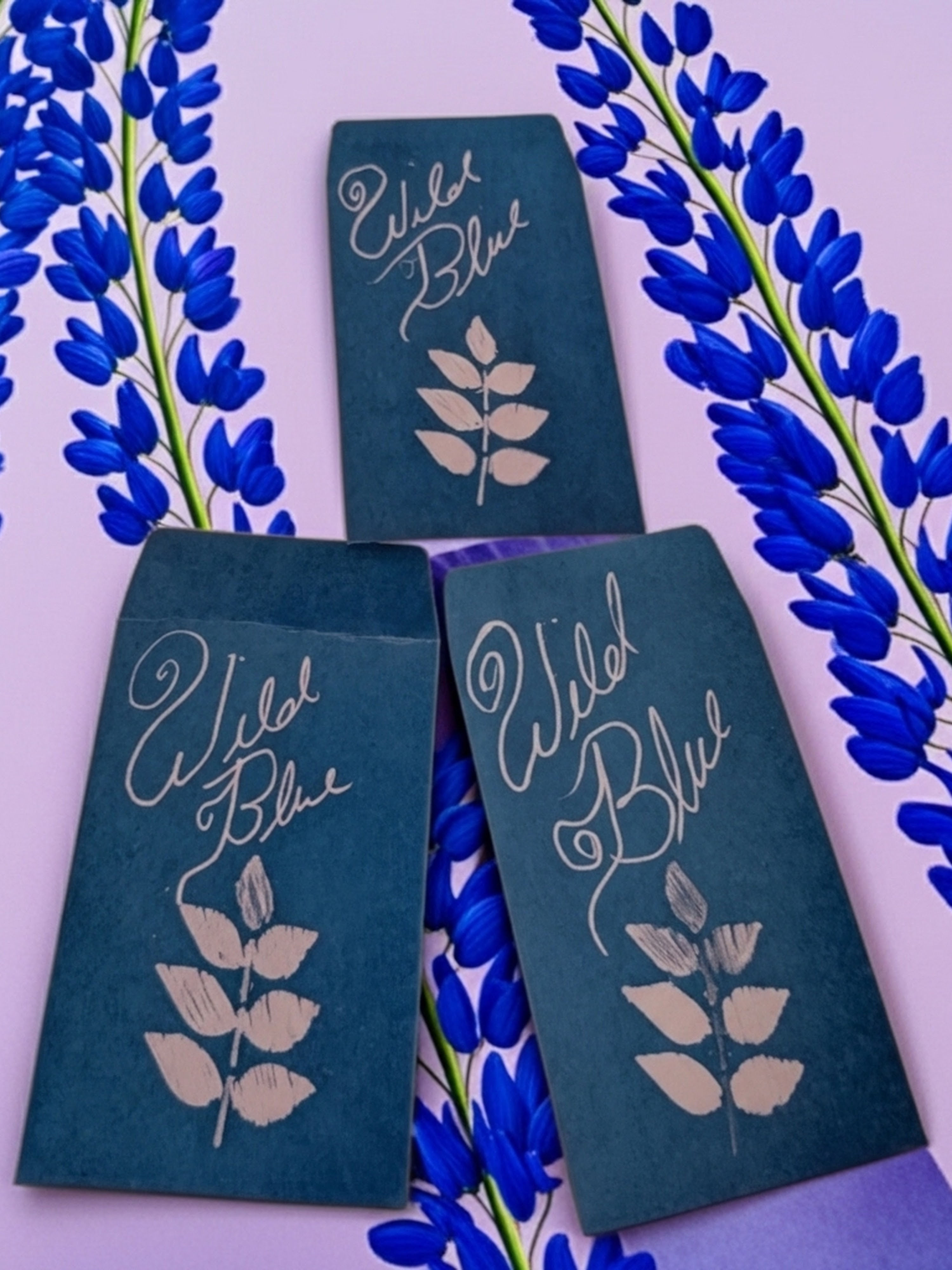 Wild Blue Lupine seeds