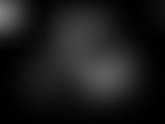 The Story of our Little Guy