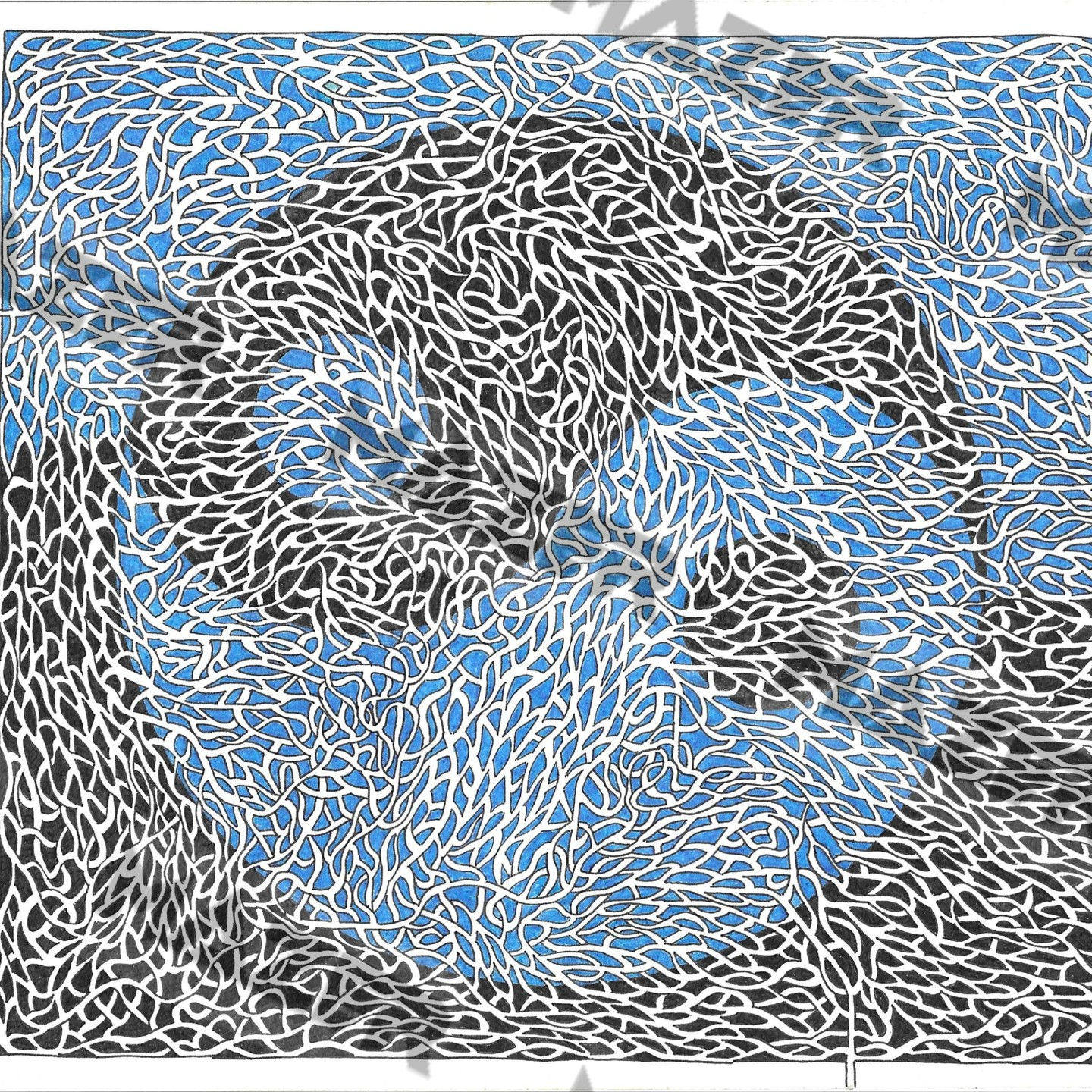 Black & Blue Yin & Yang